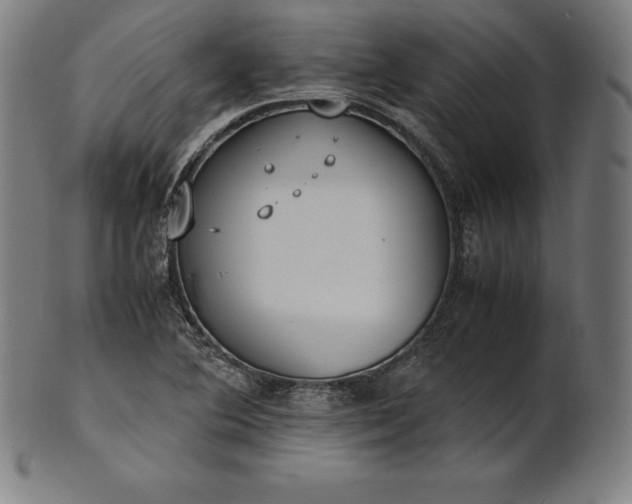 X0000101191364200807110935