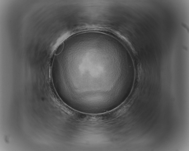 X0000101191365200807110935