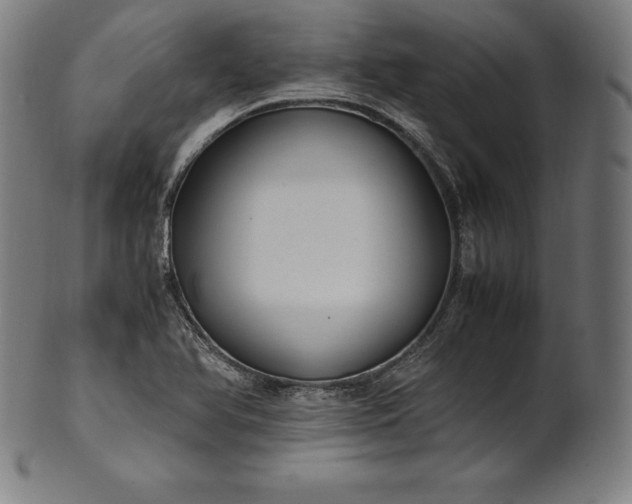 X0000101191366200807110935