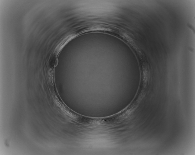 X0000101191369200807110934