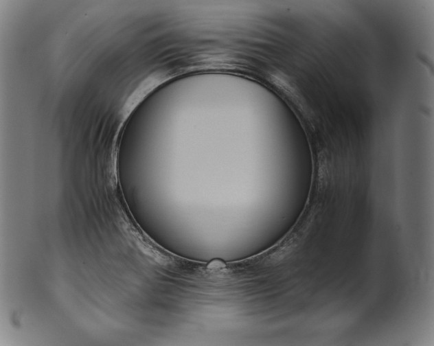 X0000101191370200807110934