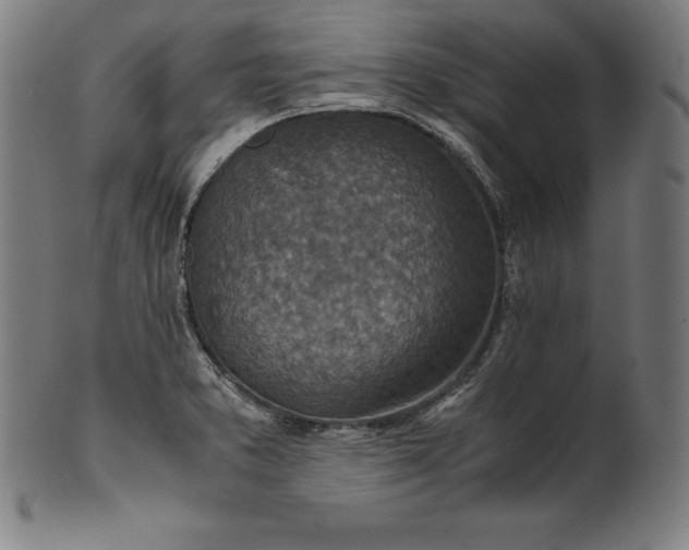 X0000101191373200807110934