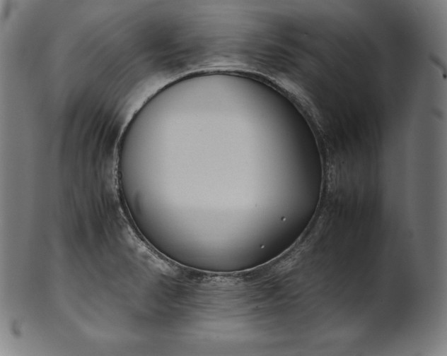 X0000101191374200807110934