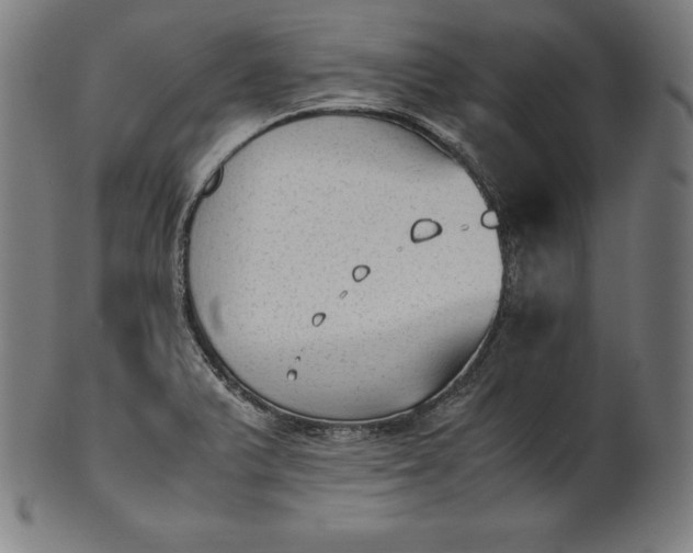 X0000101191375200807110934