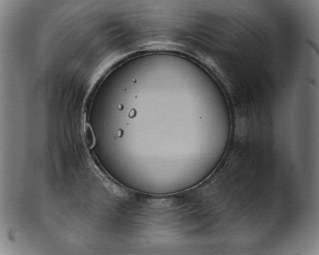 X0000101191376200807110934