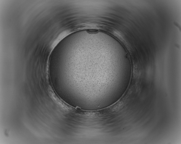 X0000101191378200807110934