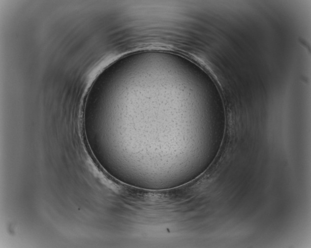 X0000101191379200807110934