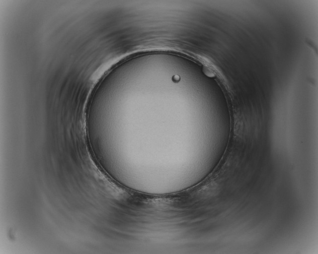 X0000101191380200807110934