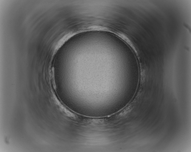 X0000101191381200807110934