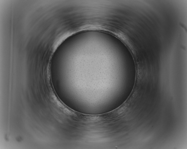 X0000101191382200807110934