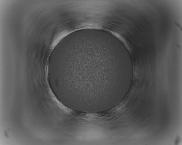 X0000101191383200807110934