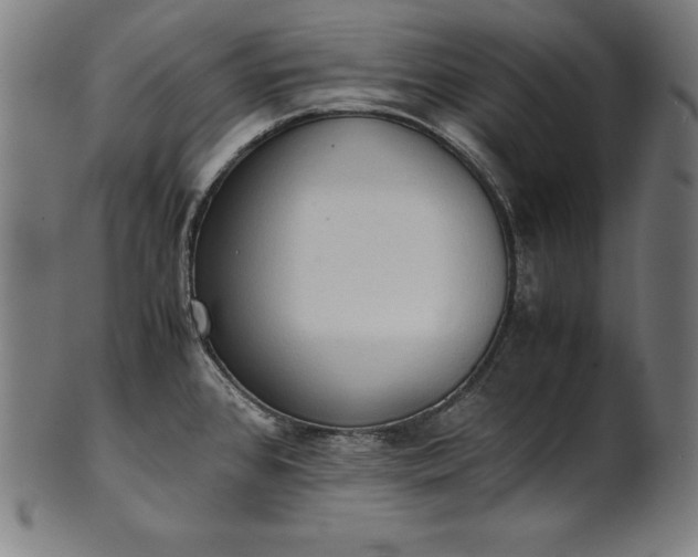 X0000101191384200807110934
