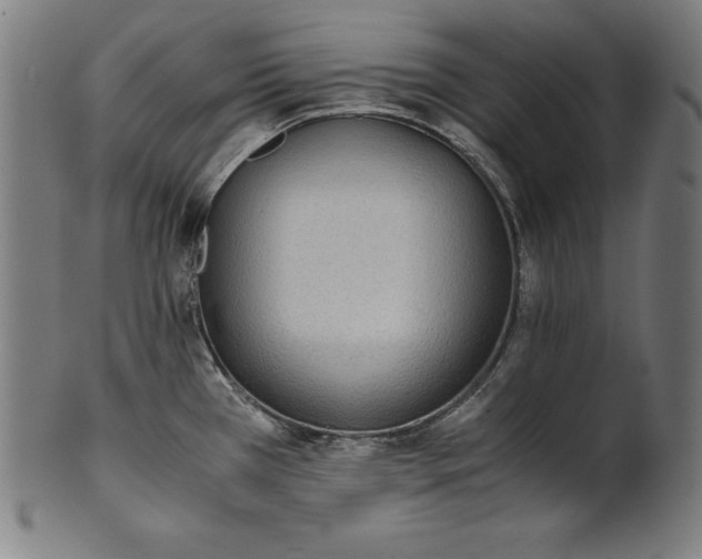 X0000101191385200807110934