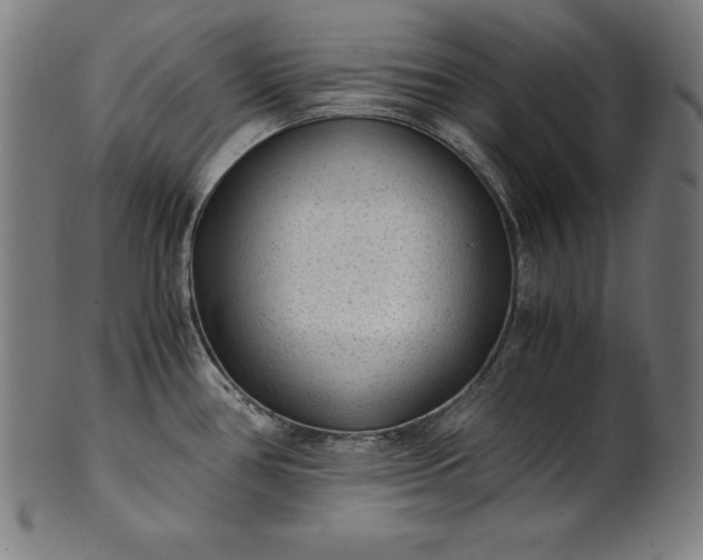 X0000101191386200807110934
