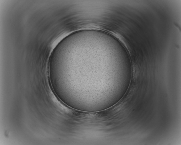 X0000101191387200807110934