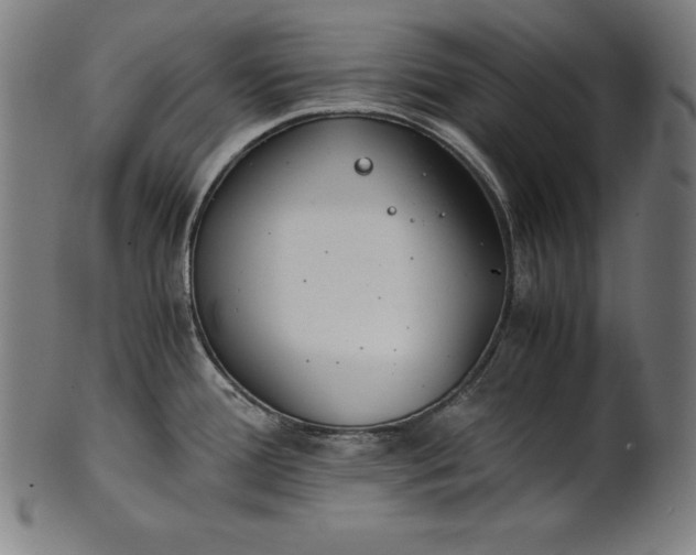 X0000101191388200807110934