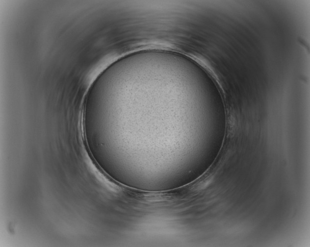 X0000101191391200807110934