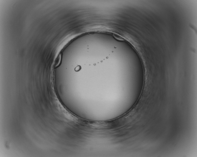 X0000101191392200807110934