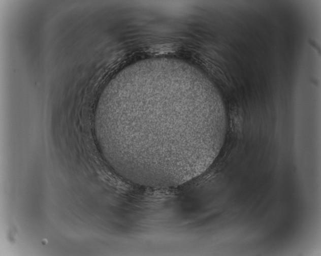 X0000101191393200807110933