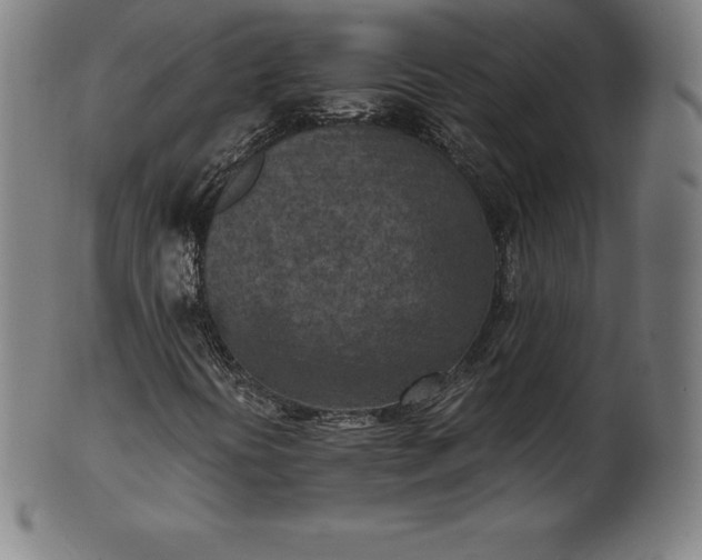 X0000101191394200807110933