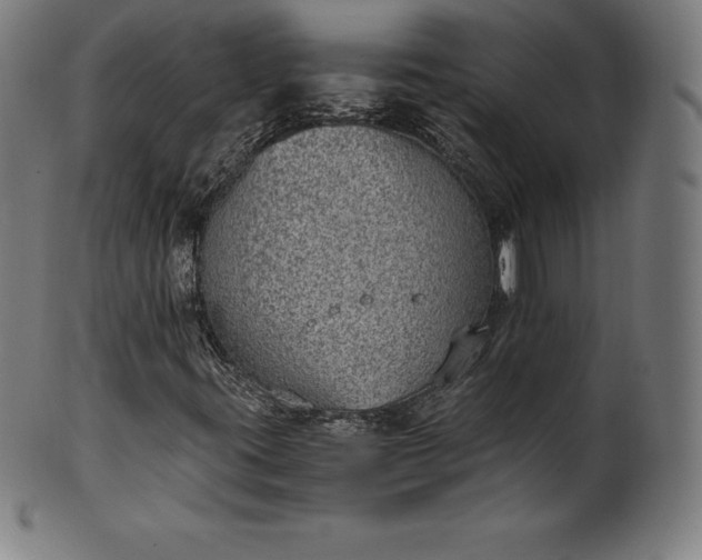 X0000101191395200807110933