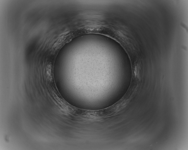 X0000101191396200807110933