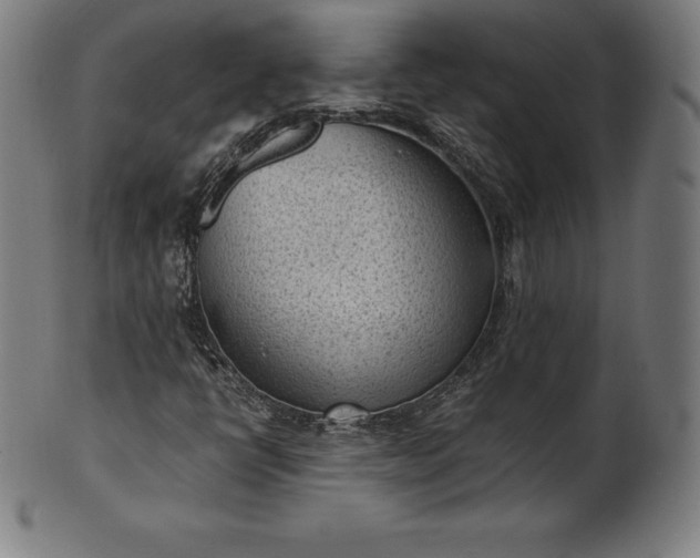 X0000101191398200807110933