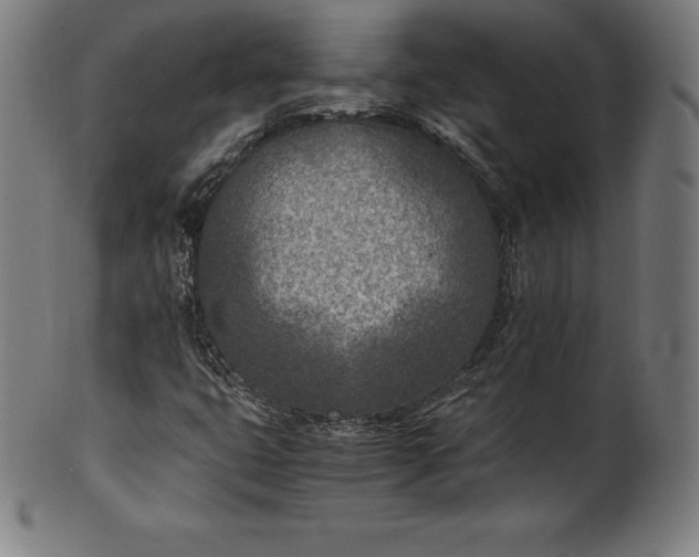 X0000101191399200807110933