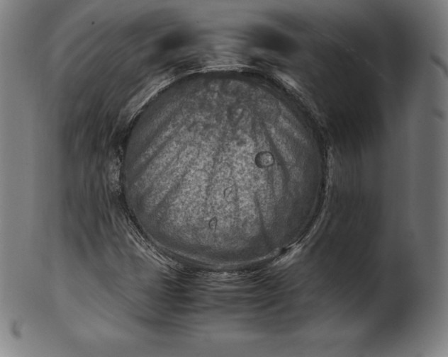 X0000101191401200807110933