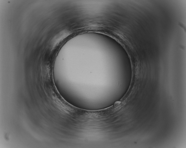 X0000101191402200807110933