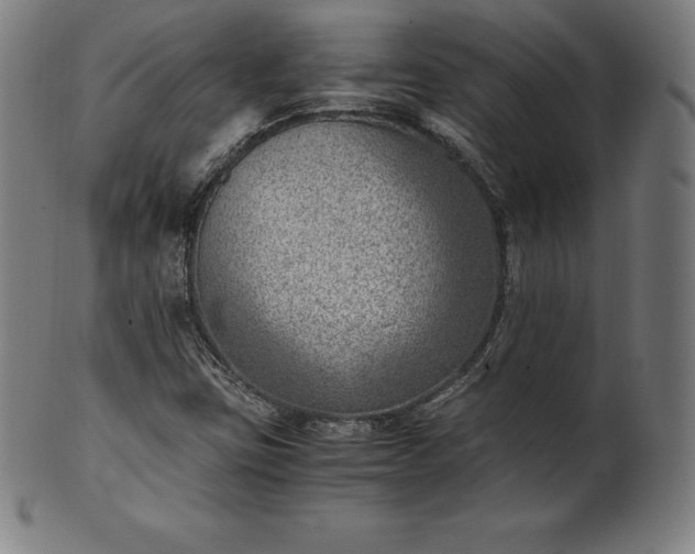 X0000101191403200807110933