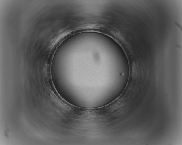 X0000101191404200807110933