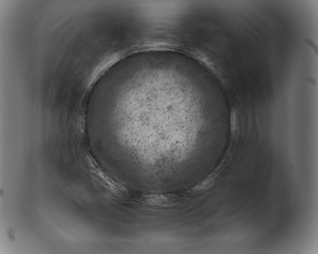 X0000101191405200807110933