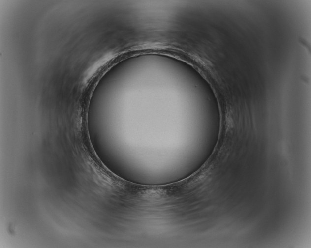 X0000101191406200807110934
