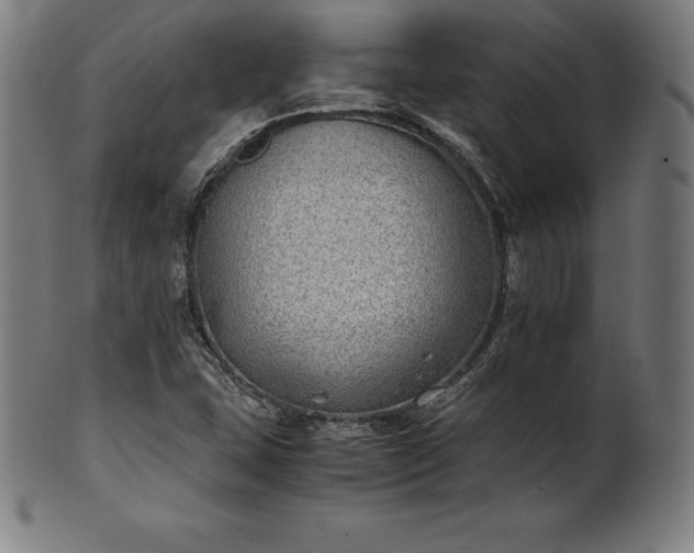 X0000101191407200807110934