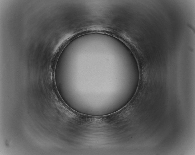 X0000101191408200807110934