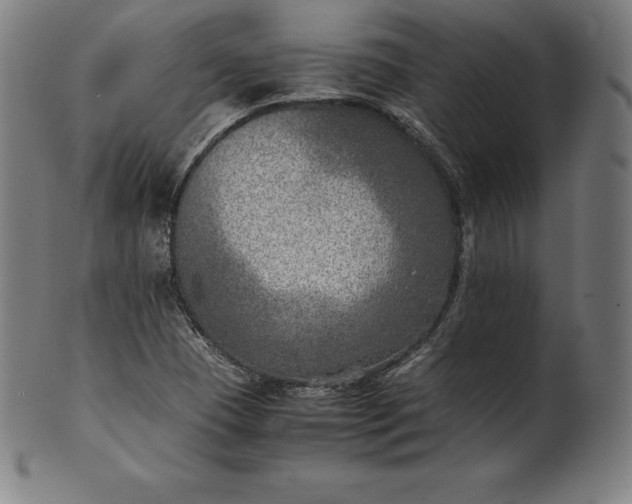 X0000101191409200807110934