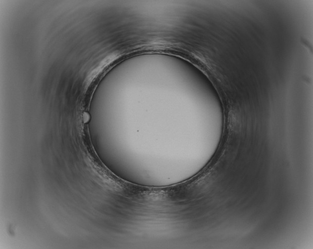 X0000101191410200807110934