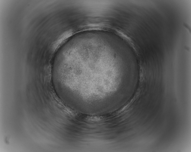 X0000101191411200807110934