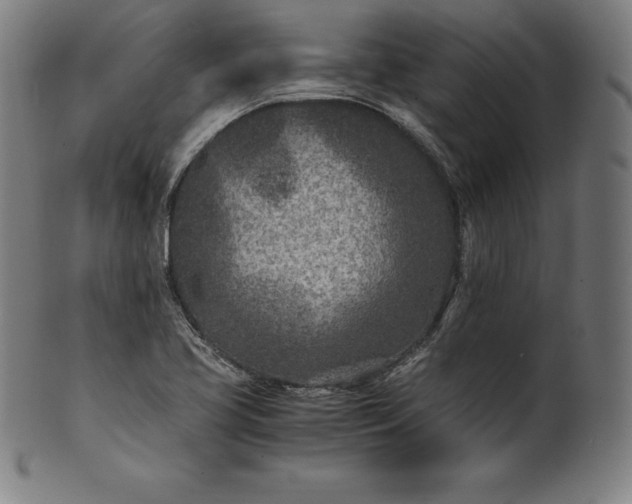 X0000101191413200807110934