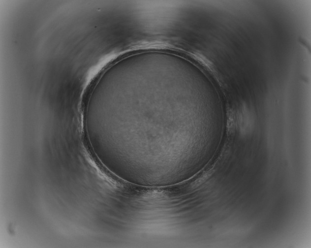 X0000101191414200807110934