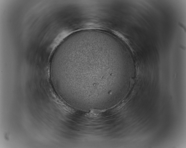 X0000101191415200807110934