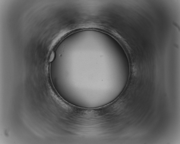 X0000101191416200807110934