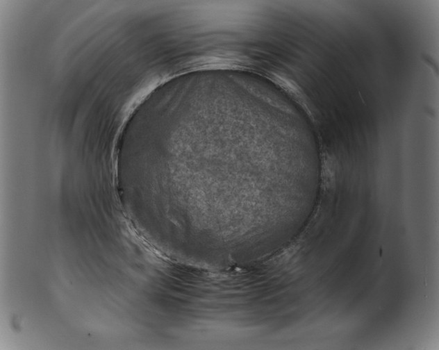 X0000101191419200807110934