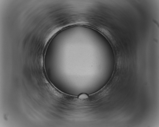 X0000101191420200807110934