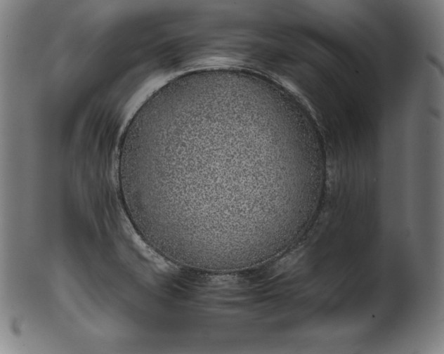 X0000101191421200807110934