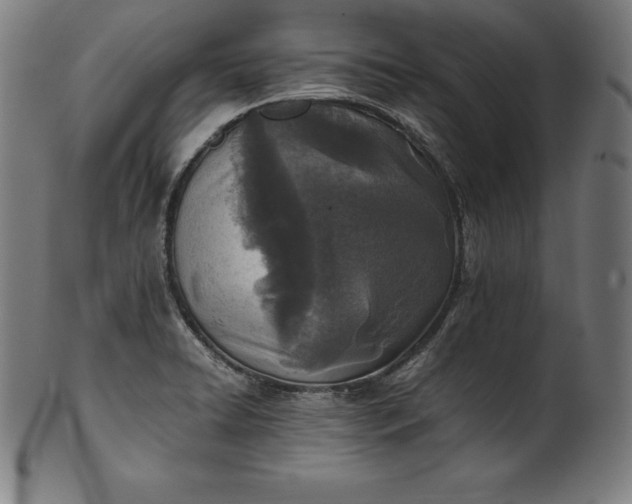 X0000101191422200807110934