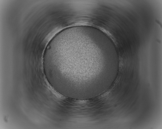 X0000101191423200807110934
