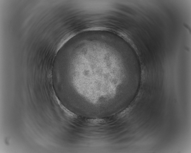 X0000101191425200807110934