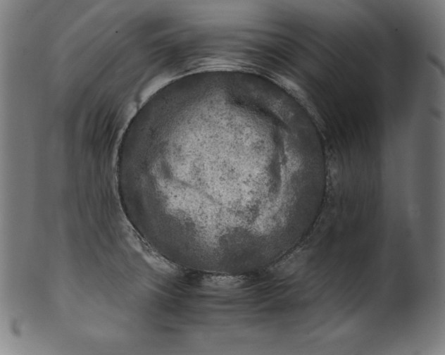 X0000101191427200807110934